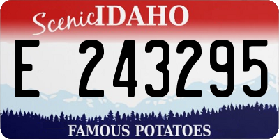 ID license plate E243295