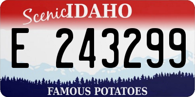 ID license plate E243299