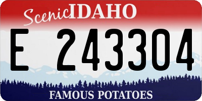 ID license plate E243304