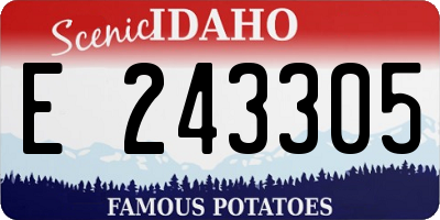 ID license plate E243305