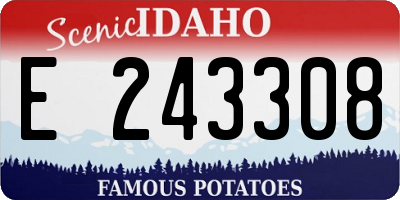 ID license plate E243308