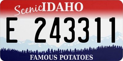ID license plate E243311