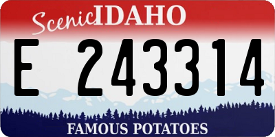 ID license plate E243314