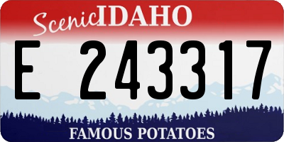 ID license plate E243317