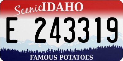 ID license plate E243319