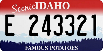 ID license plate E243321