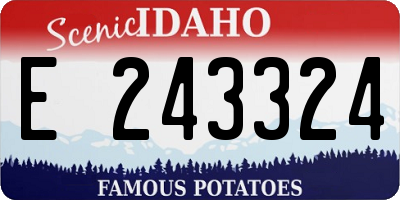 ID license plate E243324