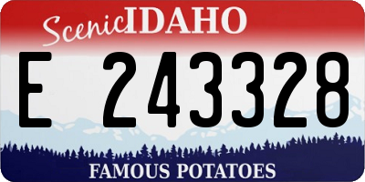 ID license plate E243328