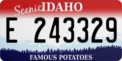 ID license plate E243329