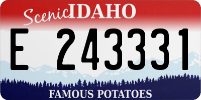 ID license plate E243331