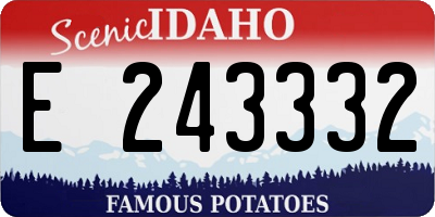 ID license plate E243332