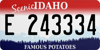 ID license plate E243334