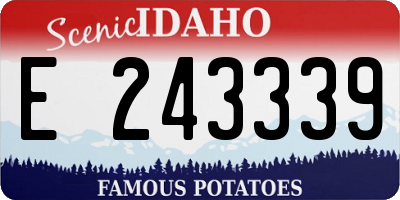 ID license plate E243339
