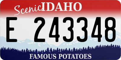 ID license plate E243348