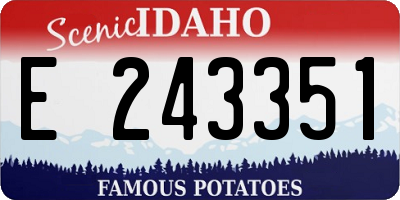 ID license plate E243351