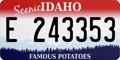 ID license plate E243353