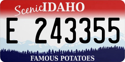 ID license plate E243355