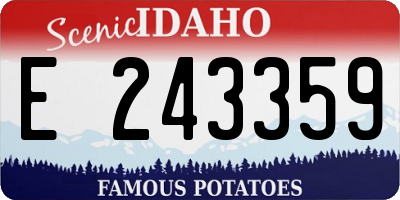 ID license plate E243359