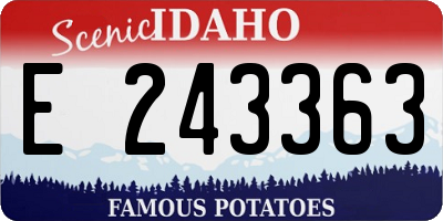 ID license plate E243363