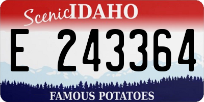ID license plate E243364