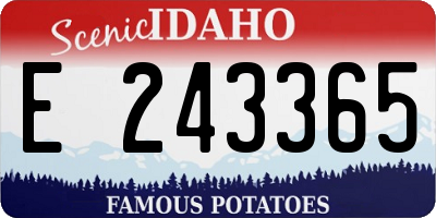 ID license plate E243365