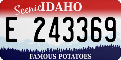 ID license plate E243369
