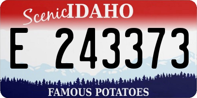 ID license plate E243373