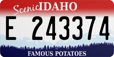 ID license plate E243374