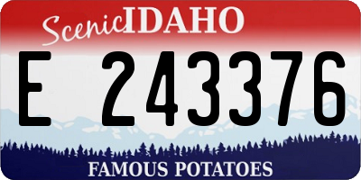 ID license plate E243376