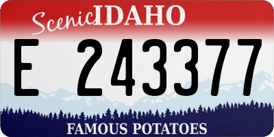 ID license plate E243377