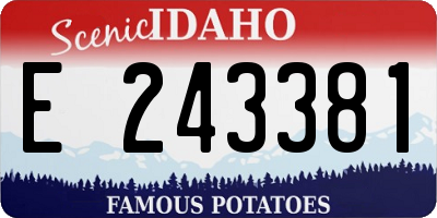 ID license plate E243381