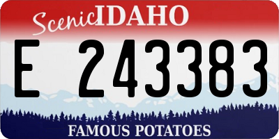 ID license plate E243383