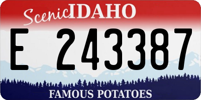 ID license plate E243387