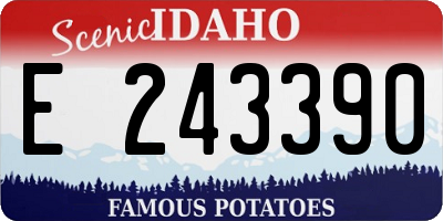 ID license plate E243390