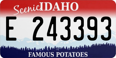 ID license plate E243393