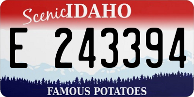 ID license plate E243394