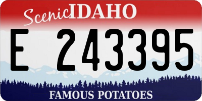 ID license plate E243395