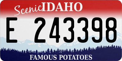 ID license plate E243398