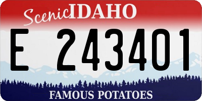 ID license plate E243401