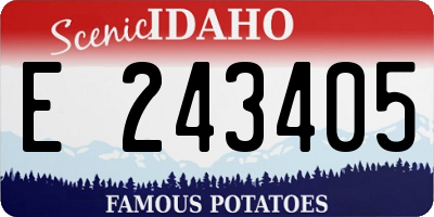 ID license plate E243405