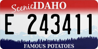 ID license plate E243411