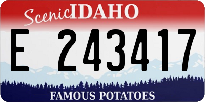 ID license plate E243417