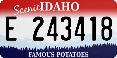 ID license plate E243418