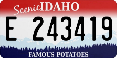 ID license plate E243419