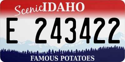 ID license plate E243422