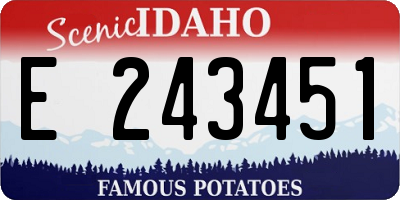 ID license plate E243451