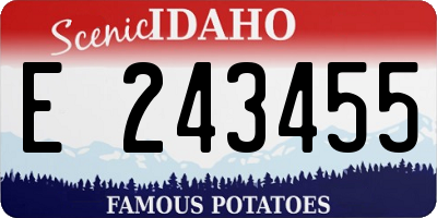 ID license plate E243455