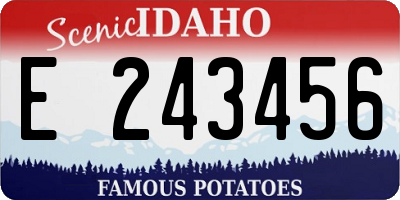 ID license plate E243456