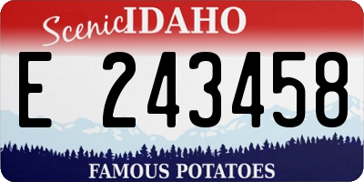 ID license plate E243458