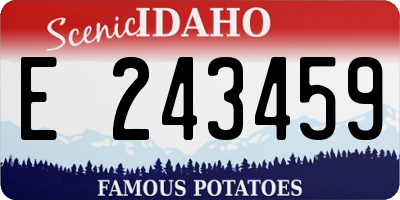 ID license plate E243459